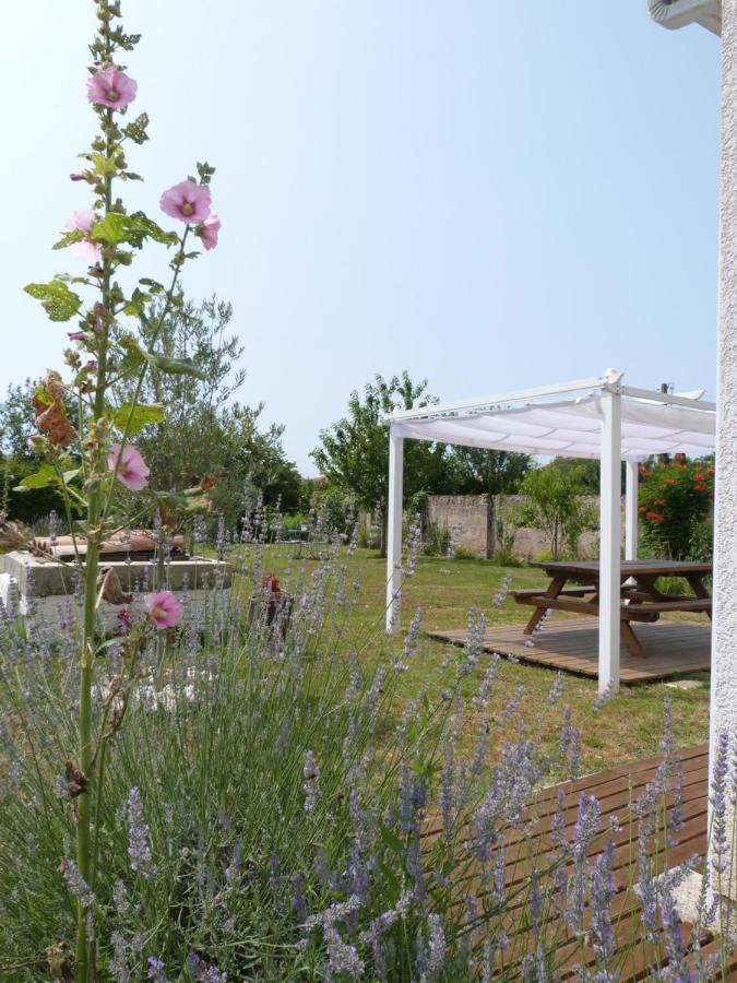 Gite Le Cherche Midi غايلاك المظهر الخارجي الصورة